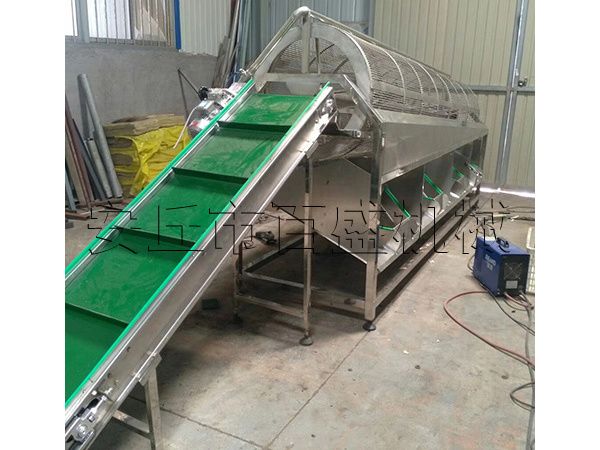 核桃杏仁篩選機